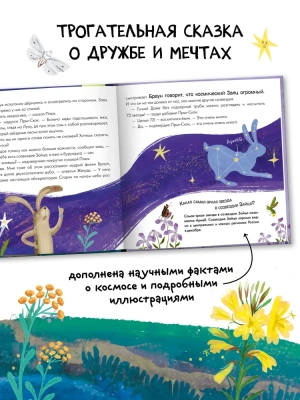 Книжный клуб. Почитаем вместе? Подсказки в сказке. Где моя звёздочка?- купить в магазине Кассандра, фото, 9785431538414, 
