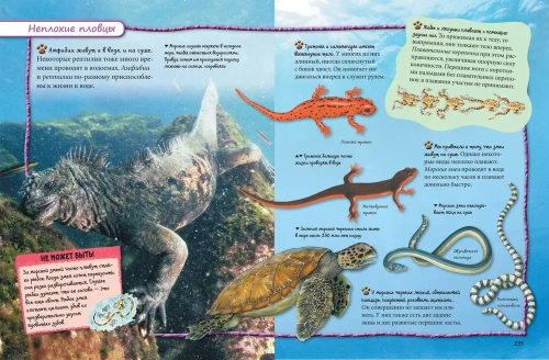 Все обо всем. Энциклопедия интересных фактов- купить в магазине Кассандра, фото, 9785353088820, 