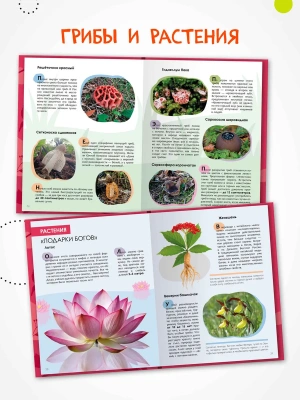 Импортировано из Wildberries