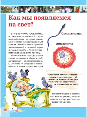 Импортировано из Wildberries
