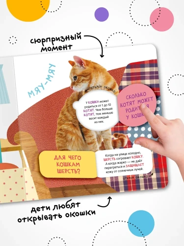 Книжки с окошками. Мамы и малыши- купить в магазине Кассандра, фото, 9785431526855, 