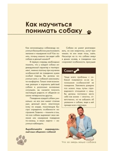 Дрессировка и воспитание собаки- купить в магазине Кассандра, фото, 9785042128219, 