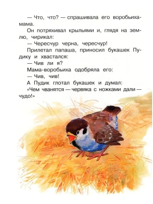 Импортировано из Wildberries