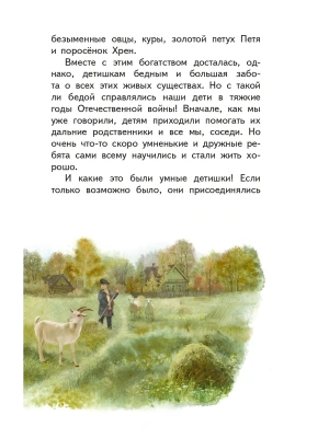 Импортировано из Wildberries