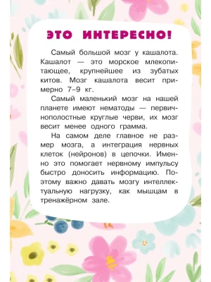 Фотография из отзыва покупателя