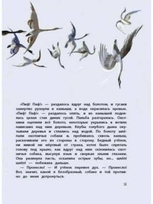 Фотография из отзыва покупателя
