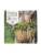 Календарь 2027. Природа и поэзия. Ни дня без А.С.Пушкина (300х300 мм), ISBN 9785042405846 Календарь 2027. Природа и поэзия. Ни дня без А.С.Пушкина (300х300 мм) — фото, ISBN 9785042405846