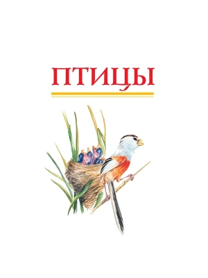 Импортировано из Wildberries