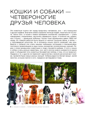 Фотография из отзыва покупателя