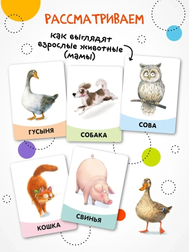 Развивающие карточки. Мамы и малыши- купить в магазине Кассандра, фото, 9785431535451, 