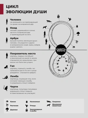 Фотография из отзыва покупателя