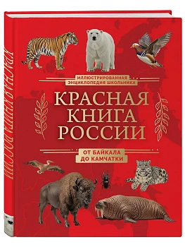 Красная книга России. От Байкала до Камчатки. Иллюстрированная энциклопедия школьника (48 стр.) - купить в магазине Кассандра, фото, 9785042232633, 