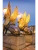 Импортировано из Wildberries Импортировано из Wildberries