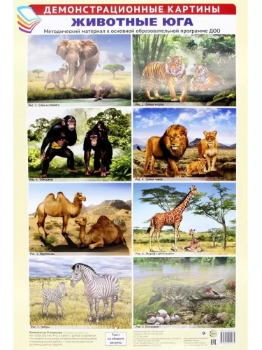 Демонстрационные картины АЗ. Животные Юга. Методический материал к основной образовательной программ- купить в магазине Кассандра, фото, 9785994922064, 