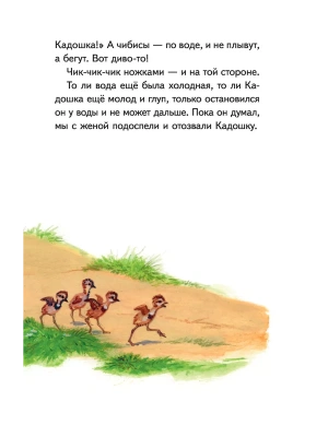 Импортировано из Wildberries