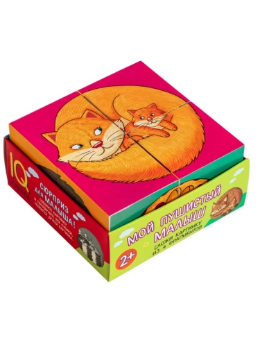 Умные кубики в поддончике. 4 штуки. Мой пушистый малыш- купить в магазине Кассандра, фото, 9785811275519, 