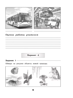 Импортировано из Wildberries