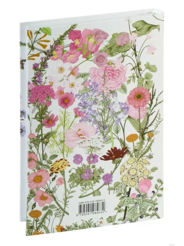 Аня и Долина Радуг (книга #7)- купить в магазине Кассандра, фото, 9785041984632, 