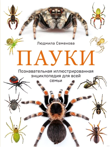 Пауки. Познавательная иллюстрированная энциклопедия для всей семьи- купить в магазине Кассандра, фото, 9785699762286, 