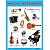  (). Musical Instruments ( ) -    , , 9785431510069, 