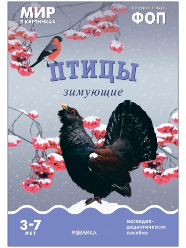 Фгос.Мир в картинках. Птицы зимующие- купить в магазине Кассандра, фото, 9785431515064, 