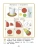 Импортировано из Wildberries Импортировано из Wildberries