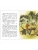 Импортировано из Wildberries Импортировано из Wildberries