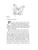 Импортировано из Wildberries Импортировано из Wildberries