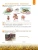Импортировано из Wildberries Импортировано из Wildberries