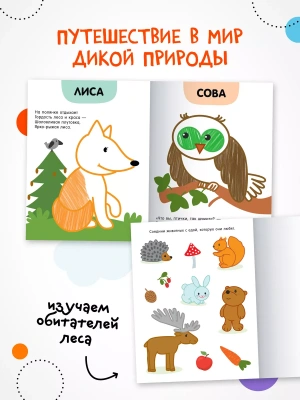Раскраски с цветным контуром. В лесу — фото, ISBN 9785431537509