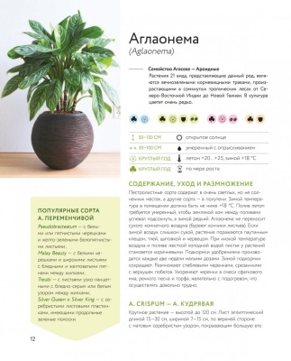 Зеленый оазис. Комнатные растения от А до Я — фото, ISBN 9785040987863