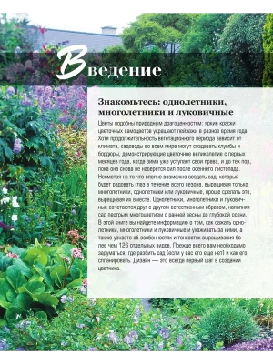 Фотография из отзыва покупателя