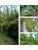 Импортировано из Wildberries Импортировано из Wildberries
