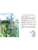Импортировано из Wildberries Импортировано из Wildberries