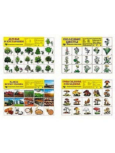 Комплект демонстрационных плакатов А2 Растительный Мир леса и полей: 4 плаката А2, 64 картинки- купить в магазине Кассандра, фото, 9785994928592, 