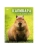 Импортировано из Wildberries Импортировано из Wildberries