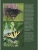 Импортировано из Wildberries Импортировано из Wildberries