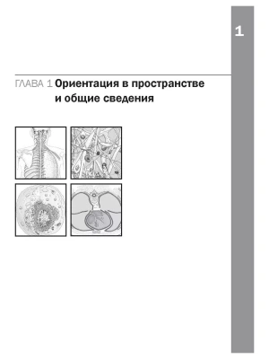 Фотография из отзыва покупателя