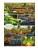 Импортировано из Wildberries Импортировано из Wildberries