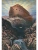 Импортировано из Wildberries Импортировано из Wildberries