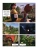 Фотография из отзыва покупателя Фотография из отзыва покупателя