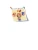 Импортировано из Wildberries Импортировано из Wildberries