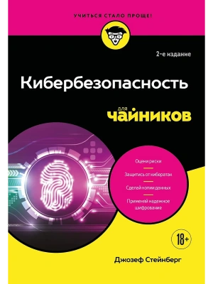 Кибербезопасность для чайников, 2-е издание — фото, ISBN 9785042015007