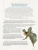 Импортировано из Wildberries Импортировано из Wildberries