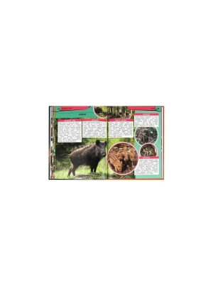 Импортировано из Wildberries