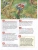 Импортировано из Wildberries Импортировано из Wildberries