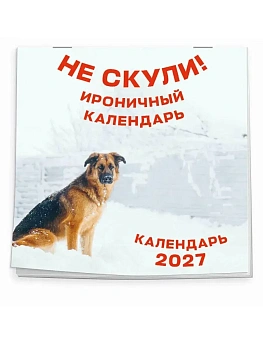 Календарь 2027. Не скули. Ироничный календарь (300х300 мм) - купить в магазине Кассандра, фото, 9785042471971, 