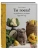 Импортировано из Wildberries Импортировано из Wildberries