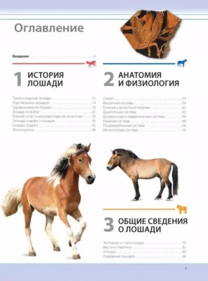 Лошади. Самая полная иллюстрированная энциклопедия- купить в магазине Кассандра, фото, 9785699880393, 