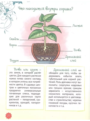 Импортировано из Wildberries